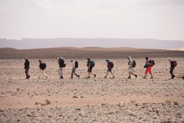 Trekking Atlas Mountains Morocco|Birdwatching Tours Morocco