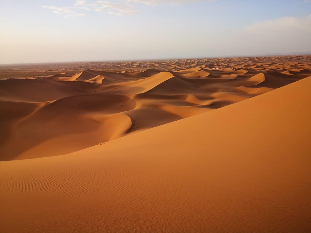 sunset in the desert