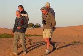 birdwatching tours morocco