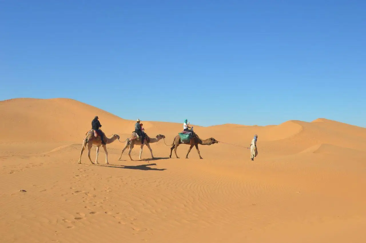 "Camel trip in Morocco."